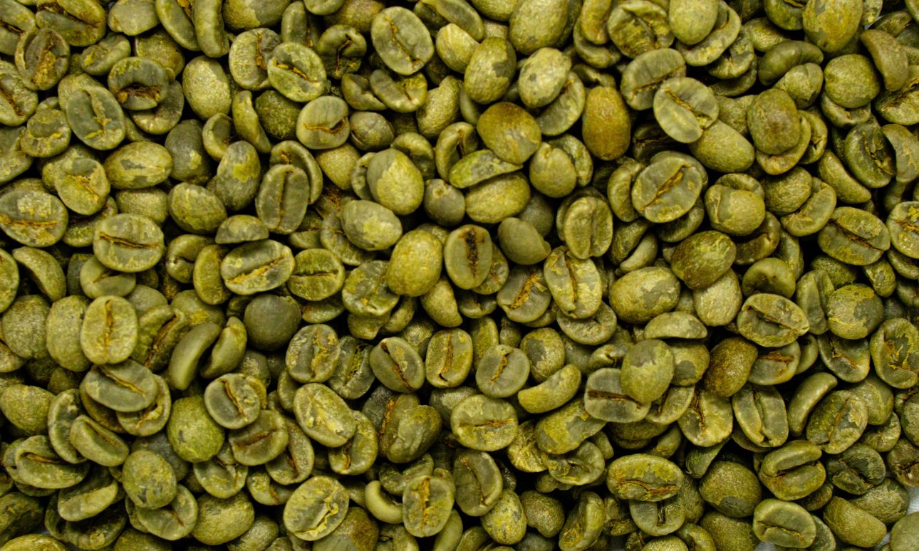 Café Arábica en Oro Verde Caturra