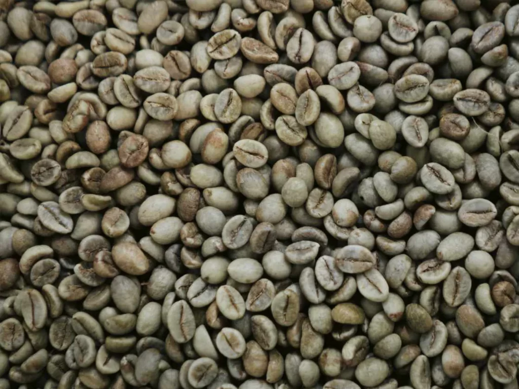 Café Arábica en Oro Verde Blend Fino