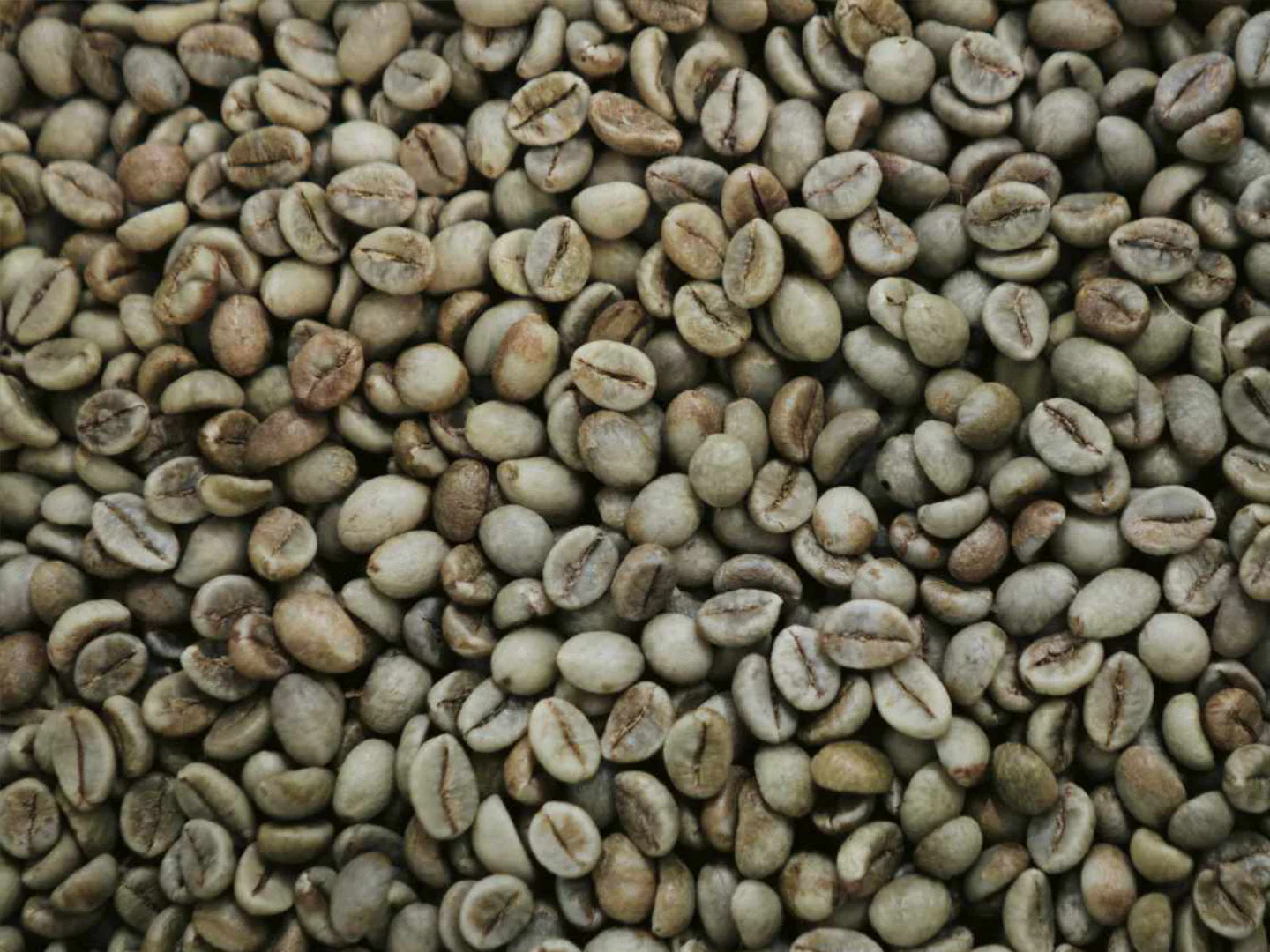 Café Arábica en Oro Verde Blend Fino