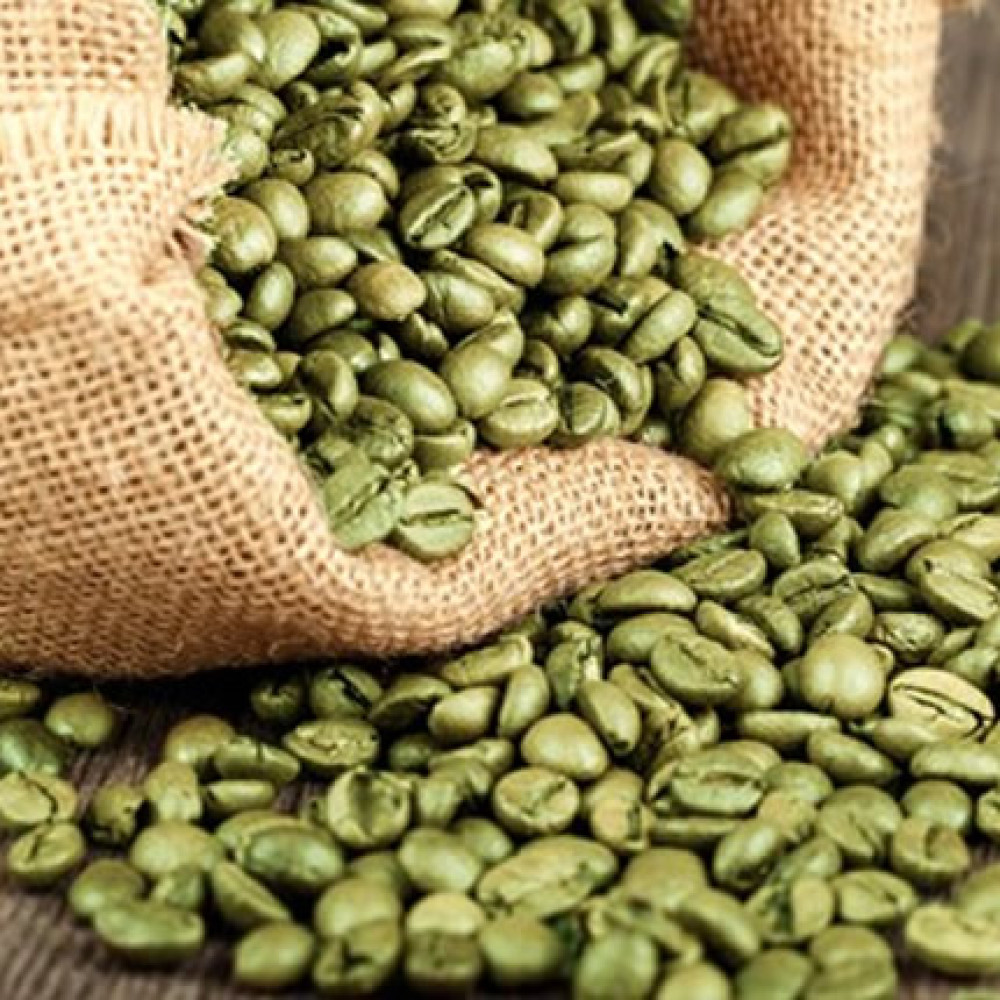 Café Arábica en Oro Verde Geisha